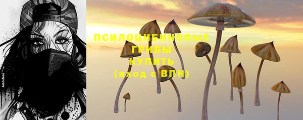 прущий лед Медвежьегорск