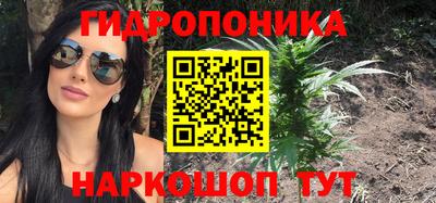 ПСИЛОЦИБИНОВЫЕ ГРИБЫ Гатчина